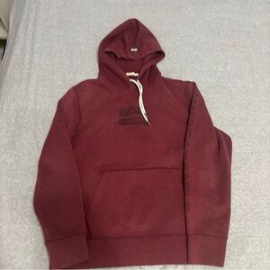 American Eagle Outfitters Maroon Hoodie